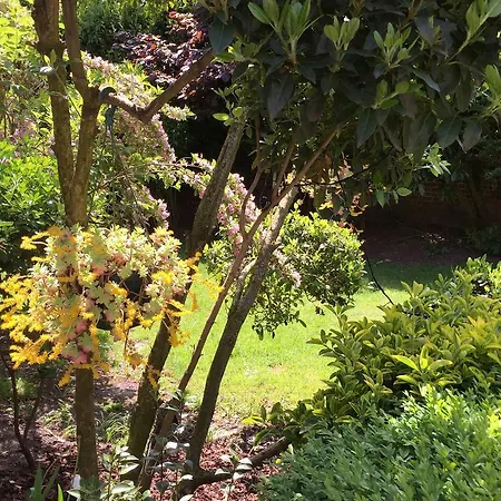 Bed & Breakfast La Parenthese Du Rond Royal