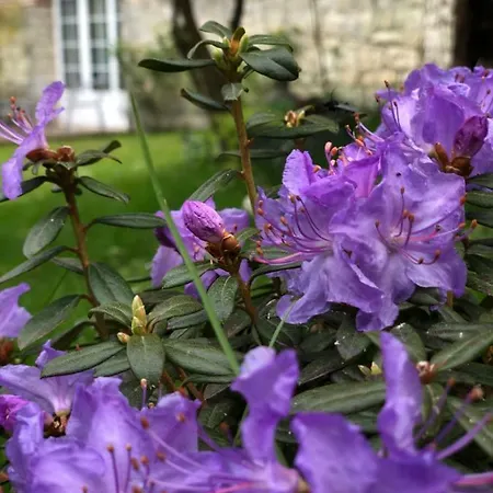 Bed & Breakfast La Parenthese Du Rond Royal