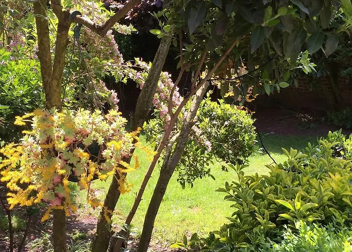 Bed & Breakfast La Parenthese Du Rond Royal