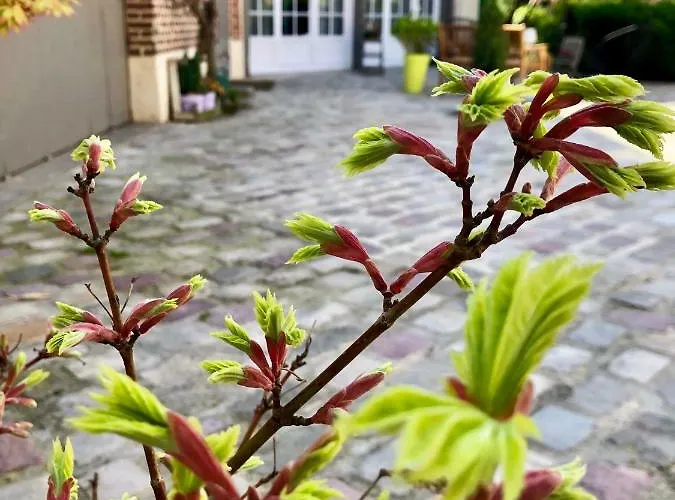 Bed & Breakfast La Parenthese Du Rond Royal 4*