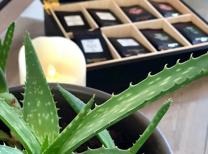 Bed & Breakfast La Parenthese Du Rond Royal Compiegne