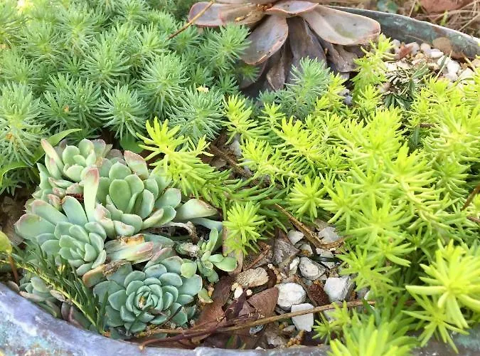 La Parenthese Du Rond Royal Bed & Breakfast 4*