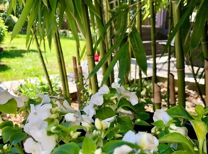 La Parenthese Du Rond Royal Bed & Breakfast 4*