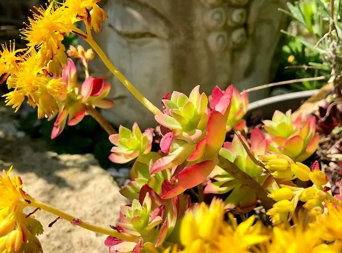 La Parenthese Du Rond Royal Bed & Breakfast